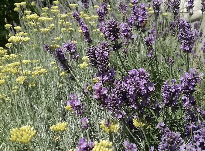 Hrestak Appartamento *